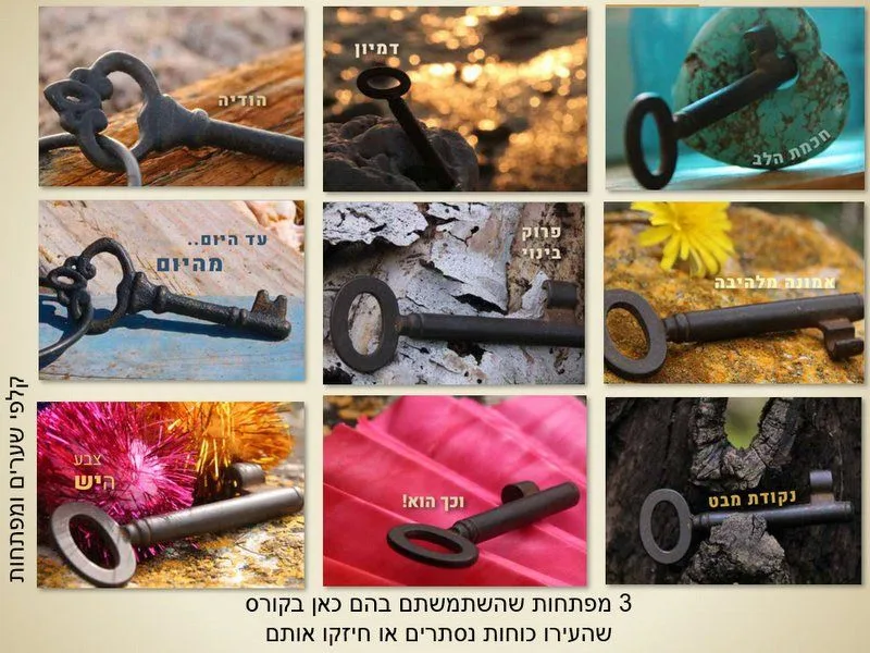 עוד תמונות — תמונה 2