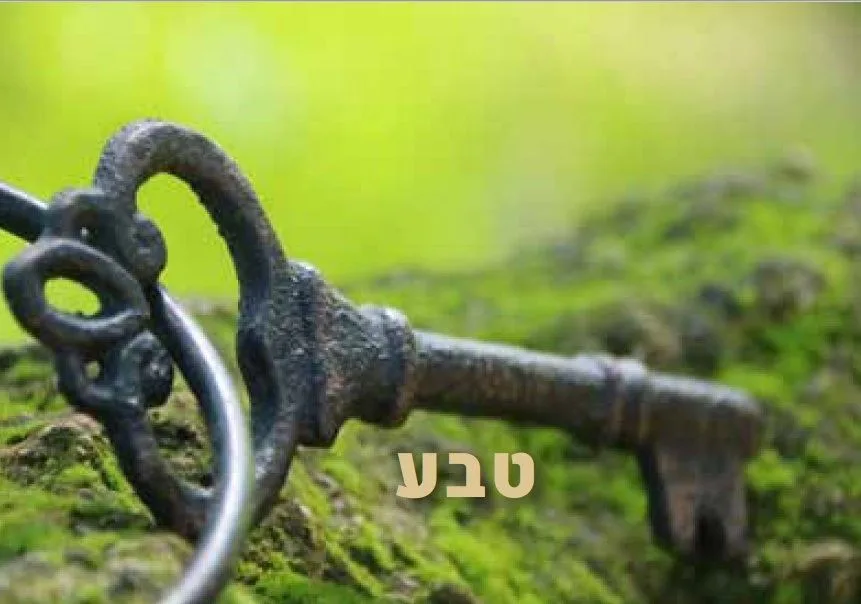 עוד תמונות — תמונה 3