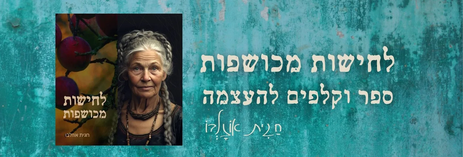 עוד תמונות — תמונה 5