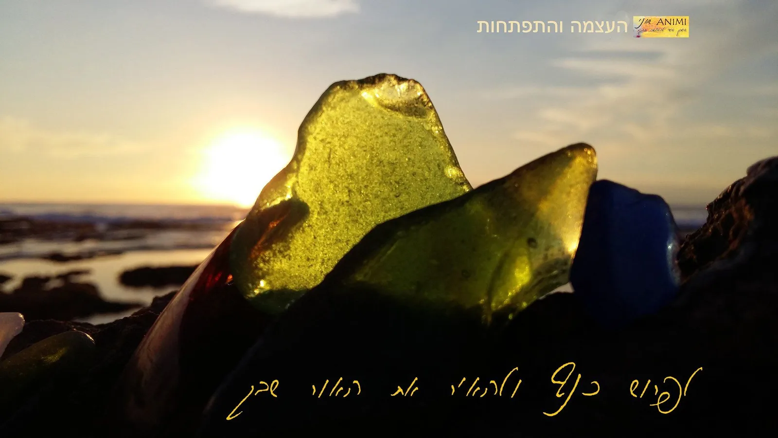 עוד תמונות — תמונה 2