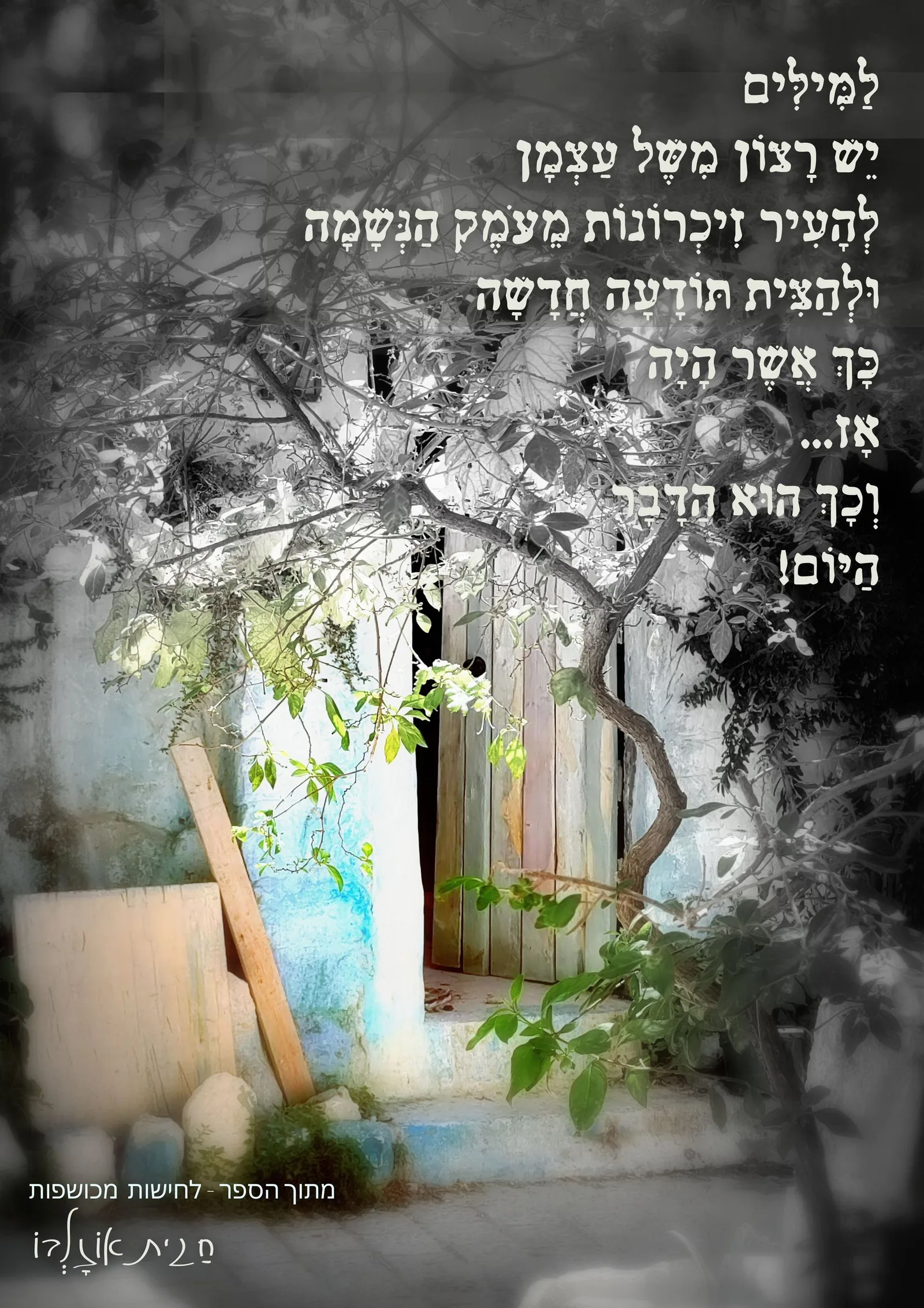 עוד תמונות — תמונה 1
