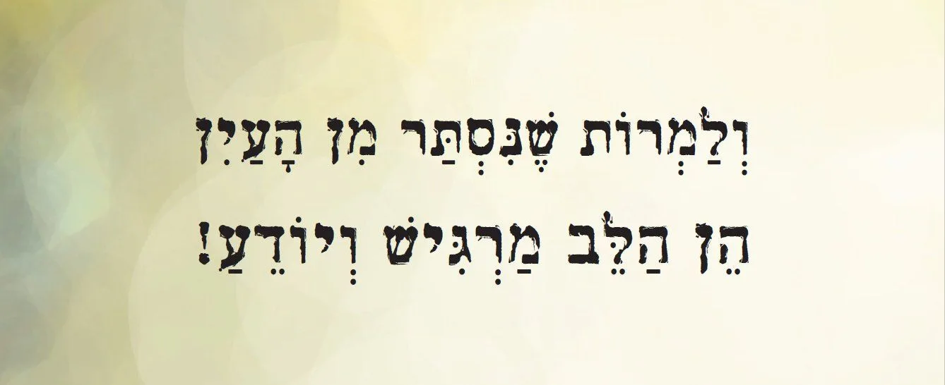 עוד תמונות — תמונה 8