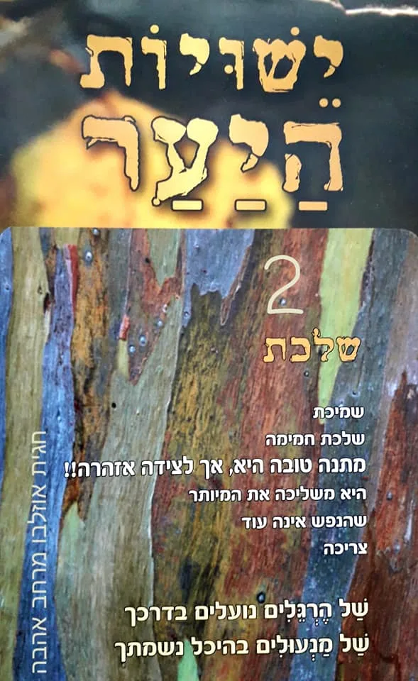 עוד תמונות — תמונה 3