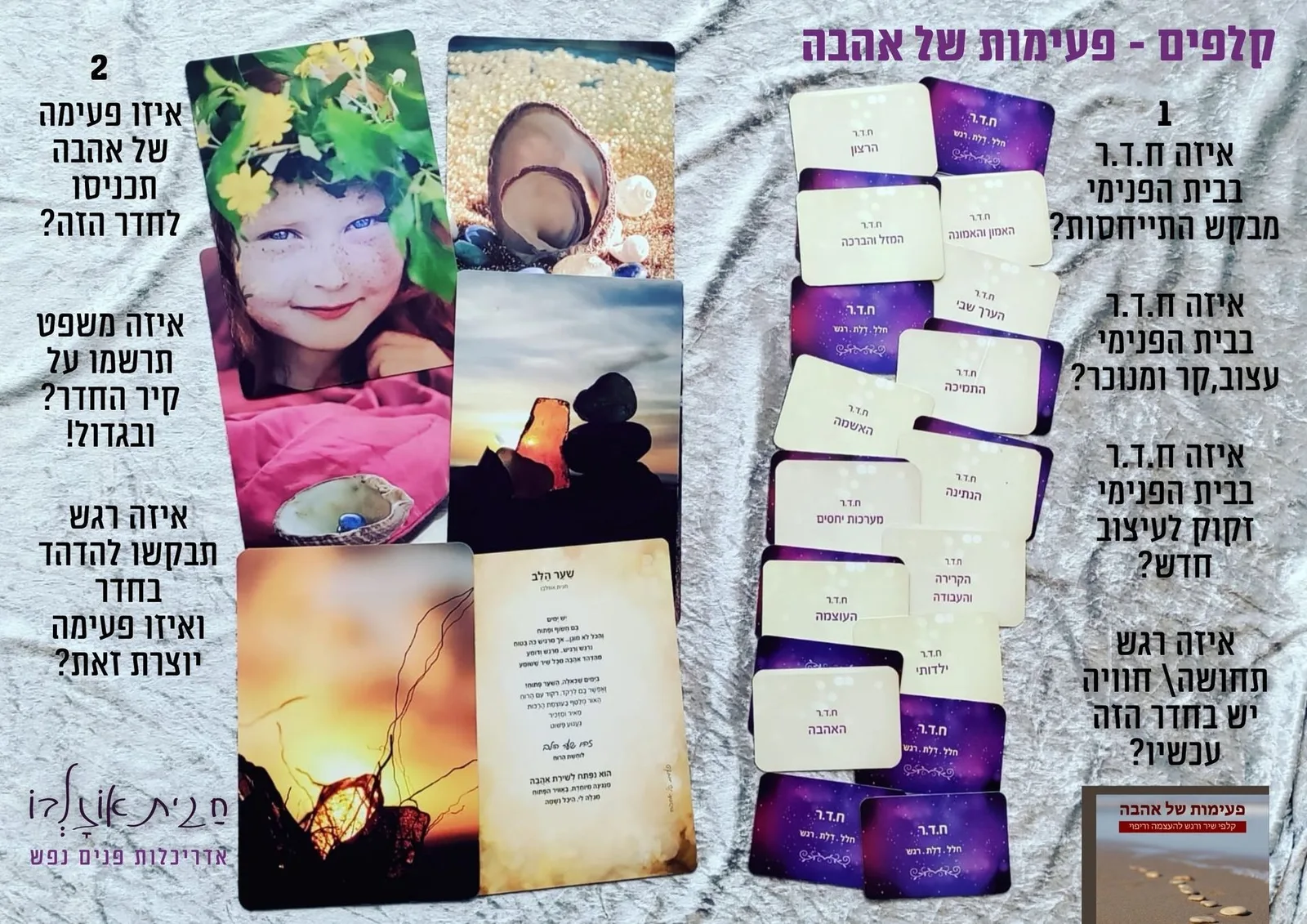 עוד תמונות — תמונה 3