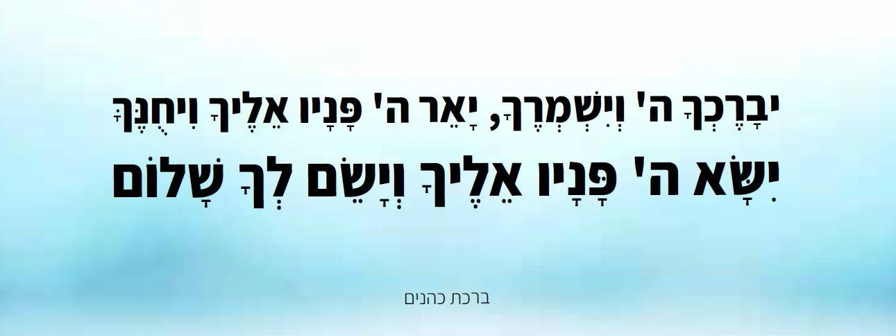 עוד תמונות — תמונה 3