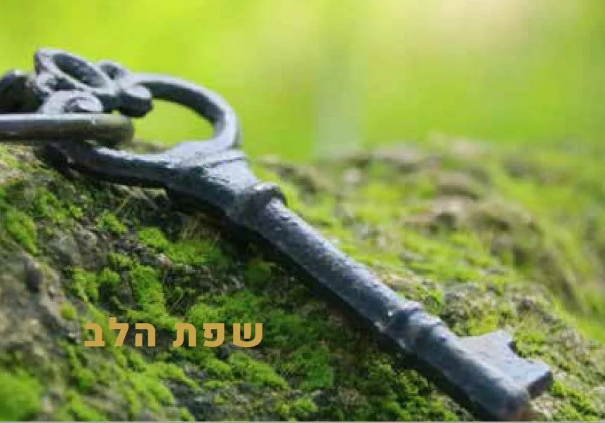 עוד תמונות — תמונה 3
