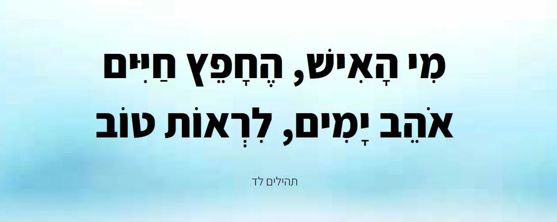 דוגמת קלף