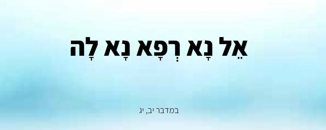 דוגמת קלף