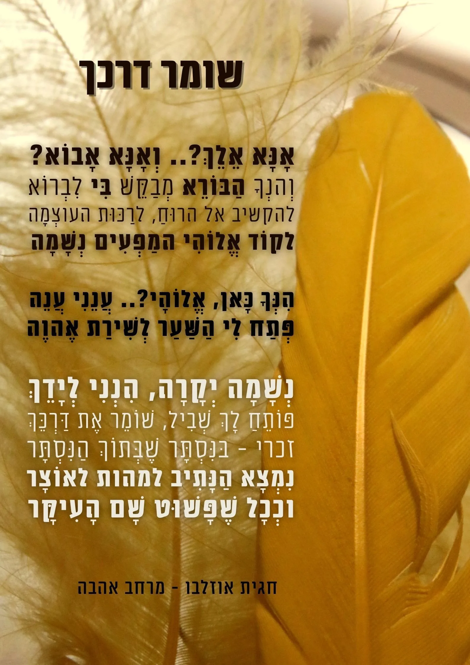 דוגמת קלף תפילת הלב