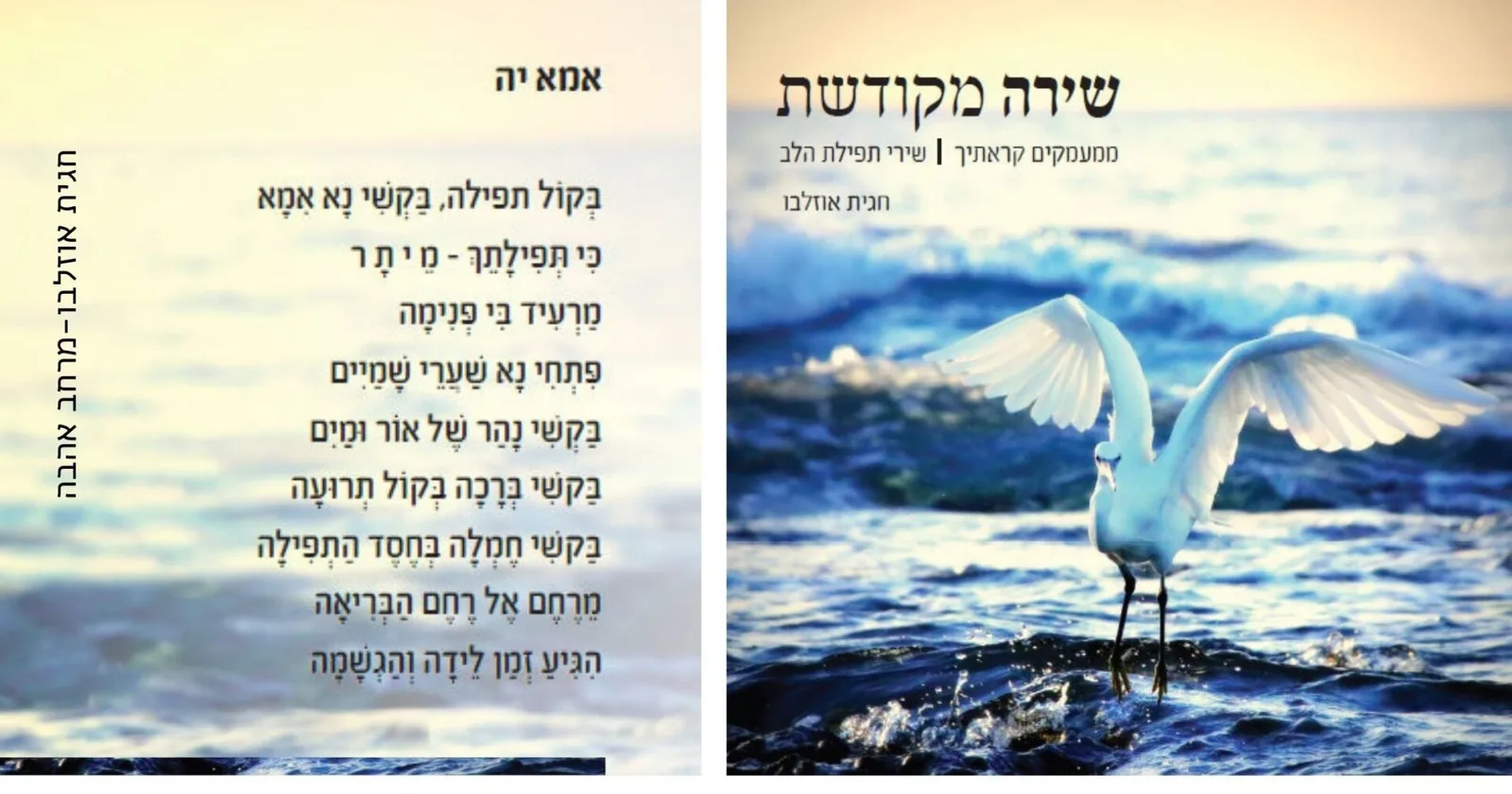 חגית אוזלבו - מרחב אהבה
