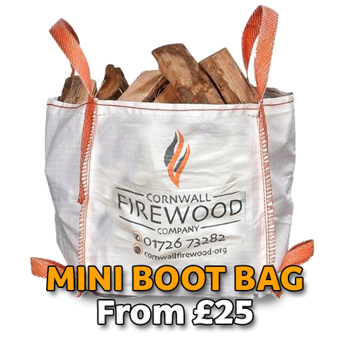 Mini Boot Bag — from £25