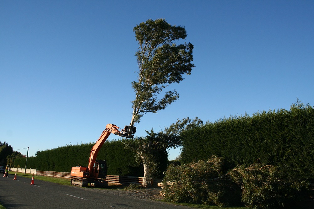TreeHugga tree work