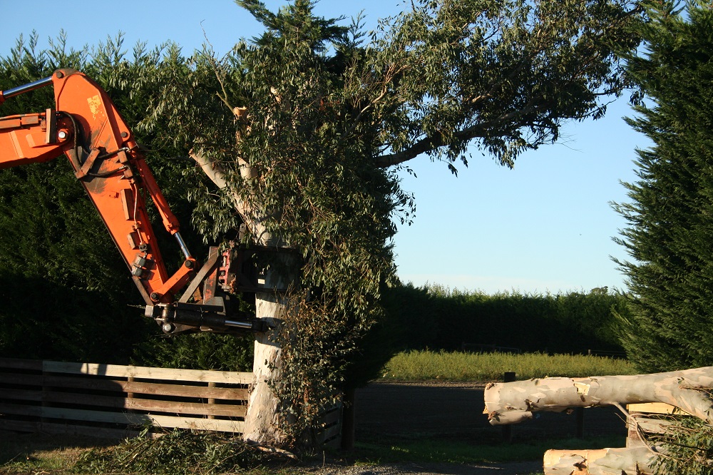 TreeHugga tree work