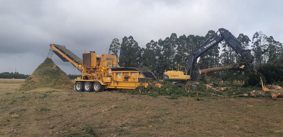 Large-scale tree removal and green-waste shredding in Canterbury