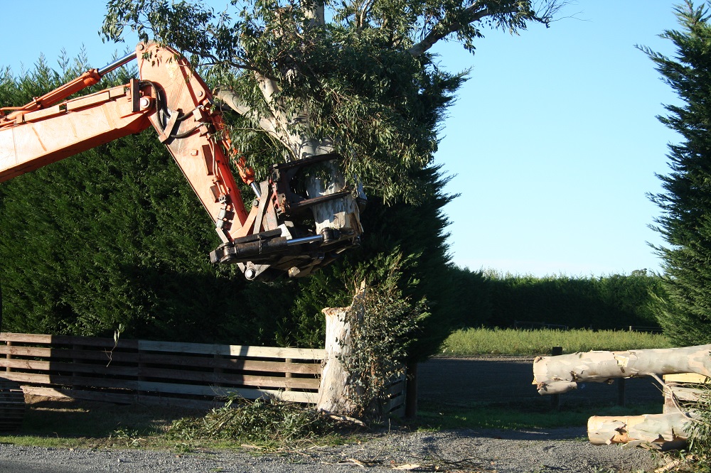 TreeHugga tree work