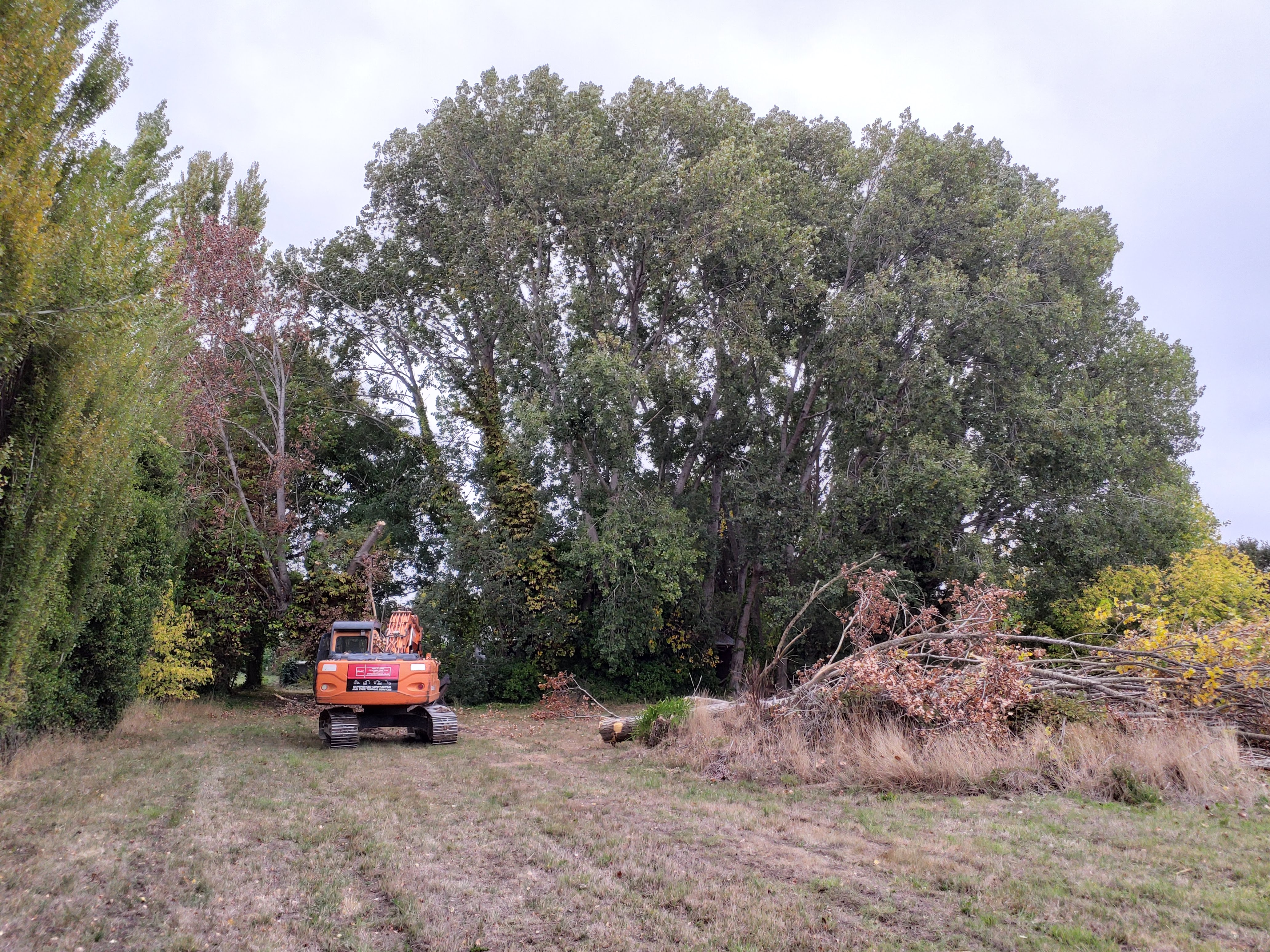 Land clearing, verge mowing and stump removal by TreeHugga