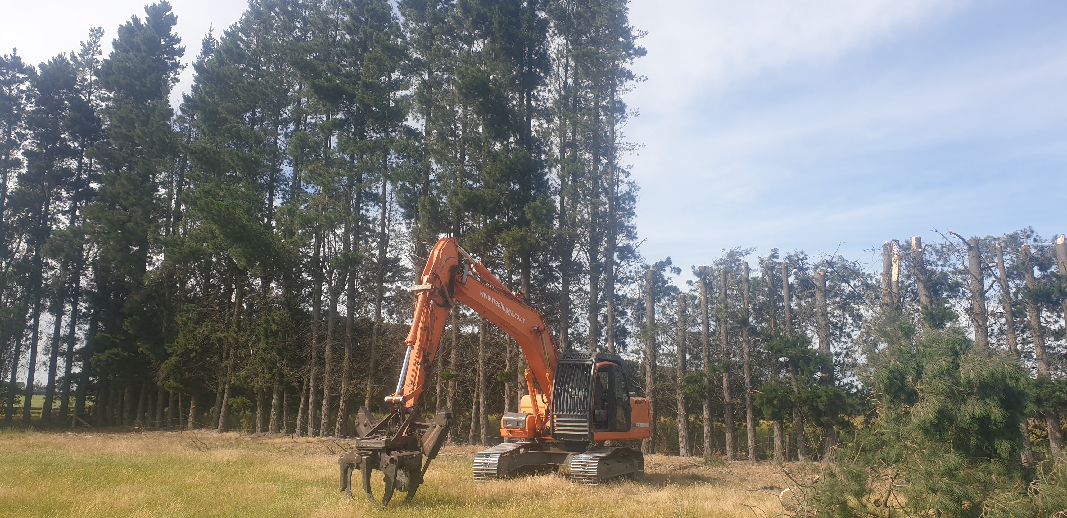 Tree Snipping Services in the Canterbury Area