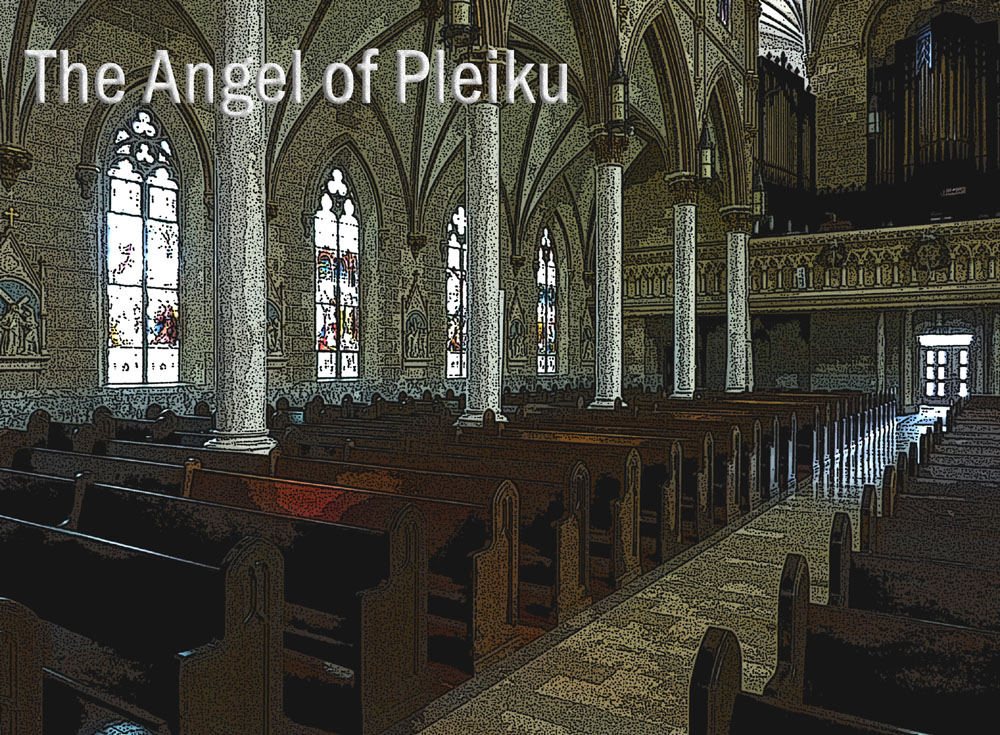 The Angel of Pleiku