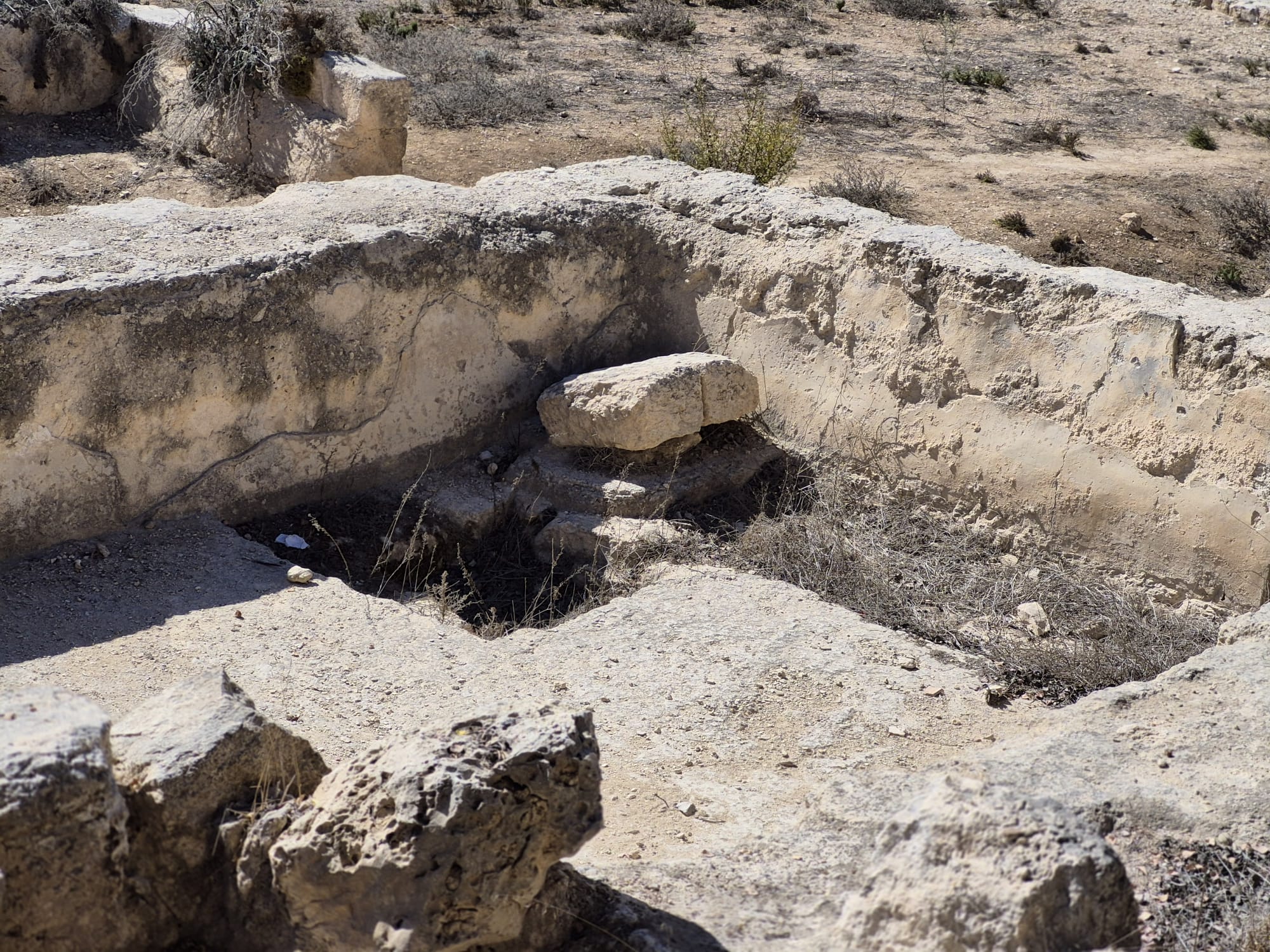 יום סיור לימודי בקיבוץ רמת רחל — תמונה 19