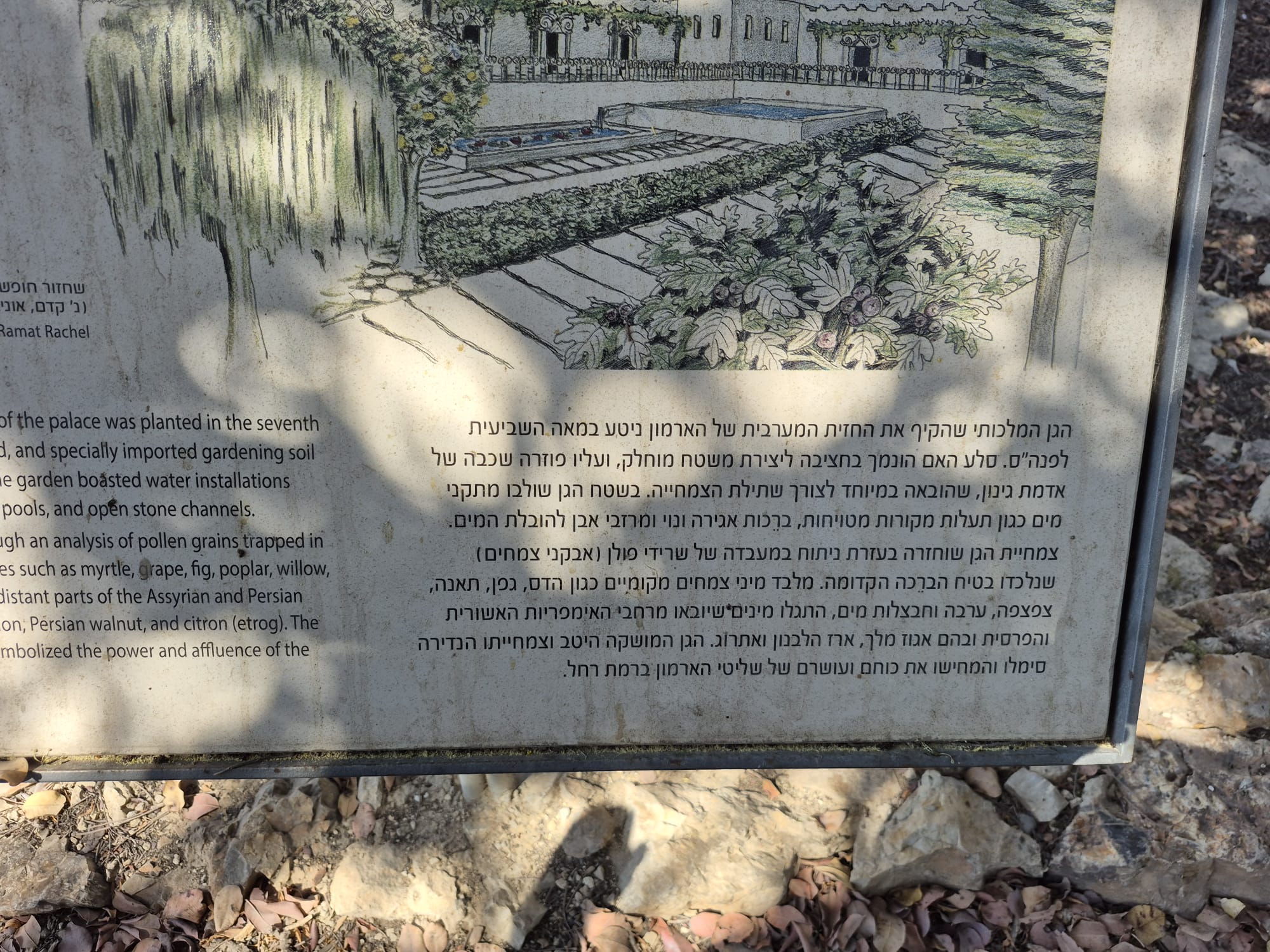 יום סיור לימודי בקיבוץ רמת רחל — תמונה 21