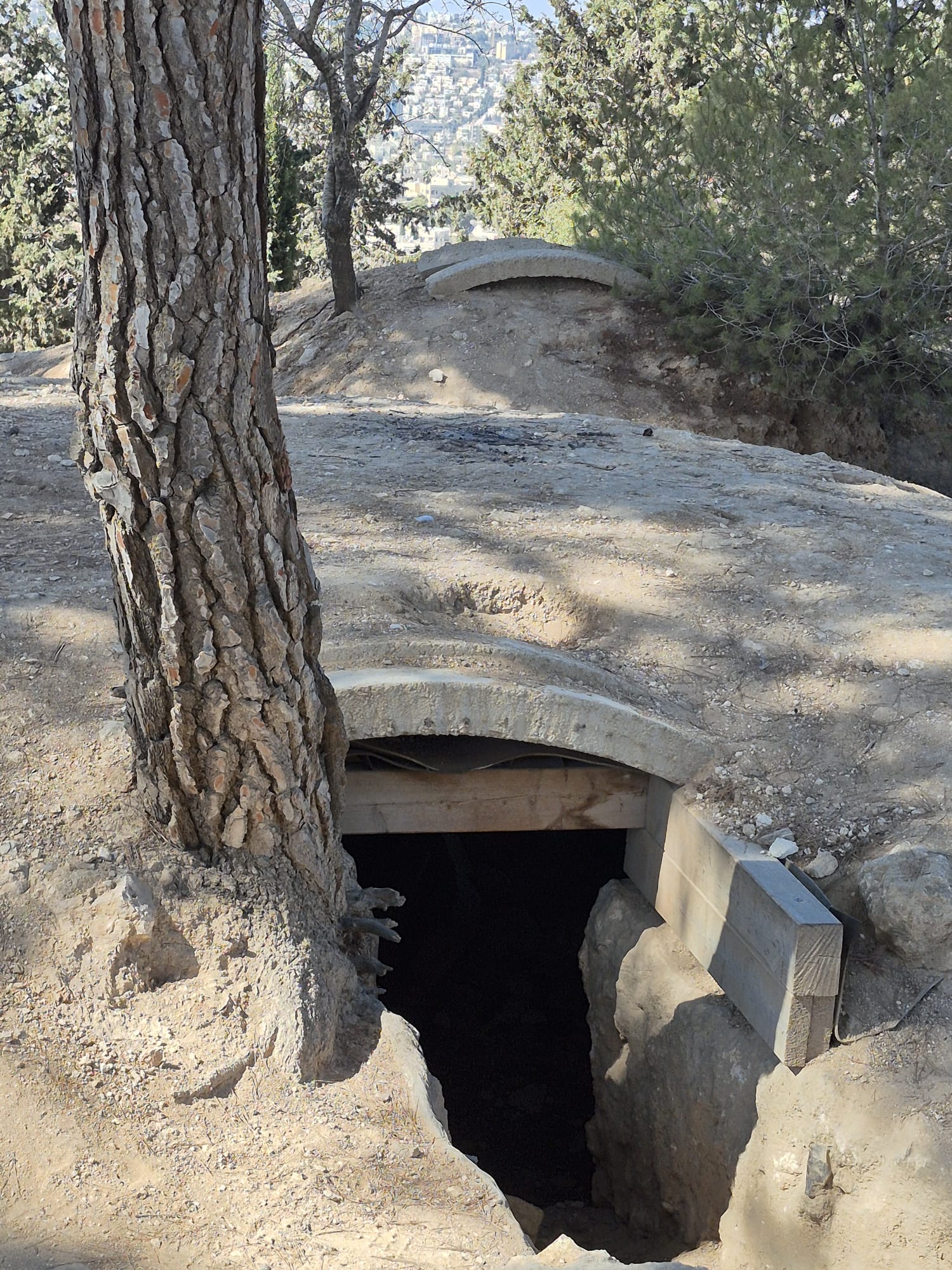 יום סיור לימודי בקיבוץ רמת רחל — תמונה 23