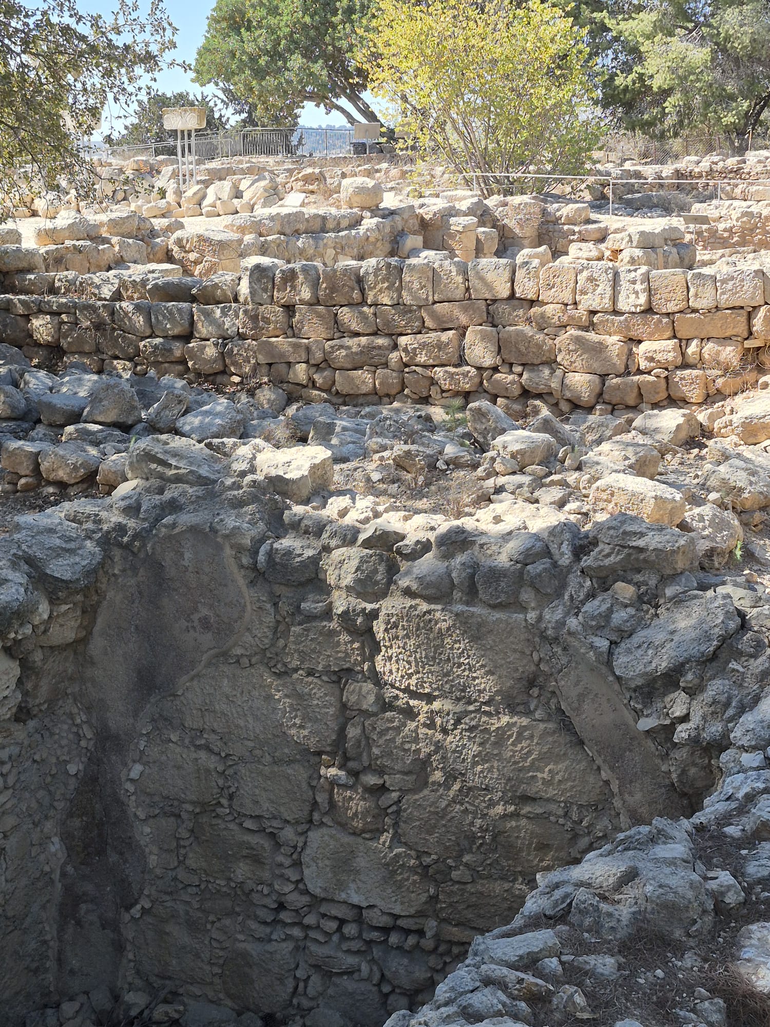 יום סיור לימודי בקיבוץ רמת רחל — תמונה 16