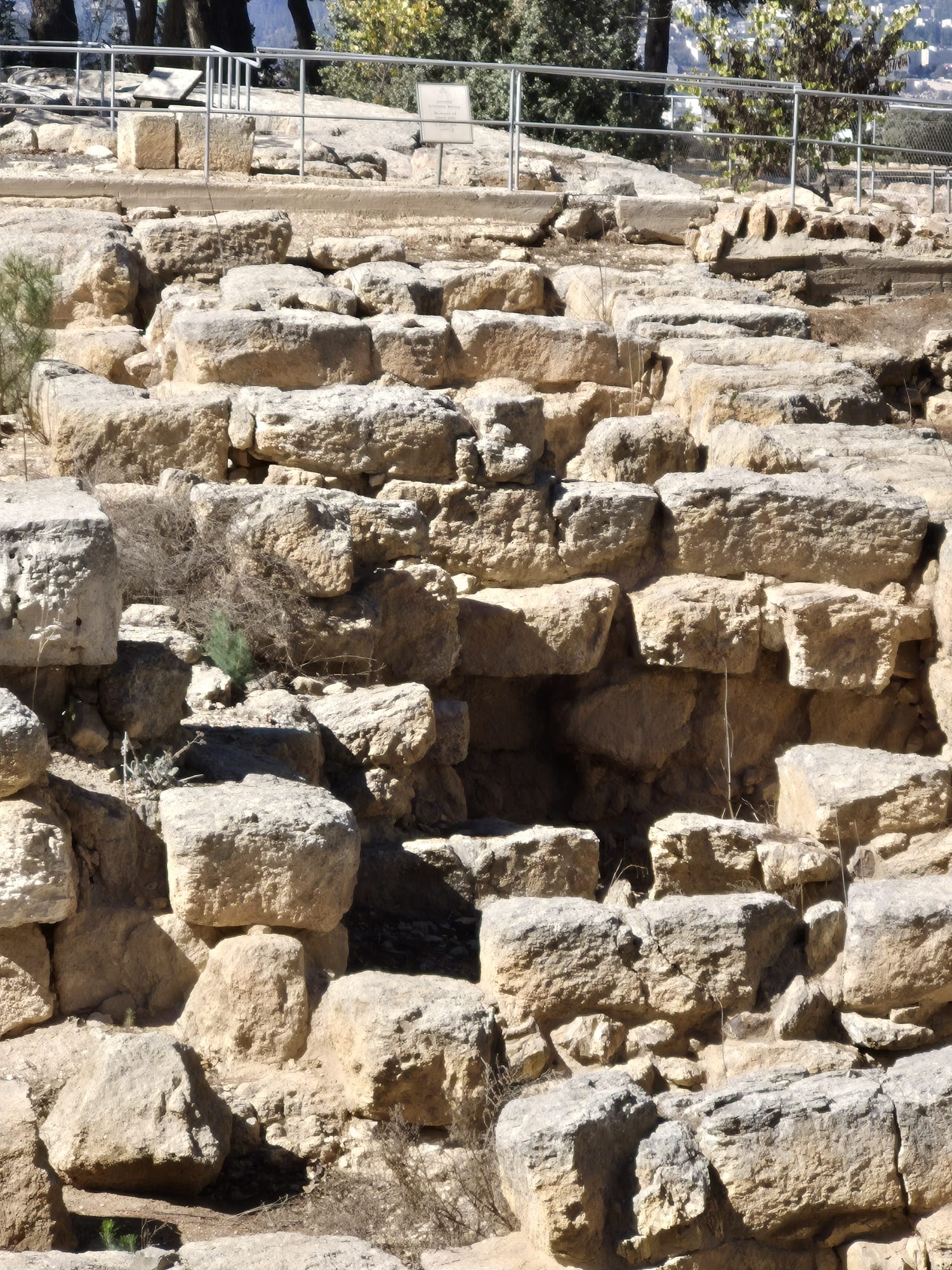 יום סיור לימודי בקיבוץ רמת רחל — תמונה 11