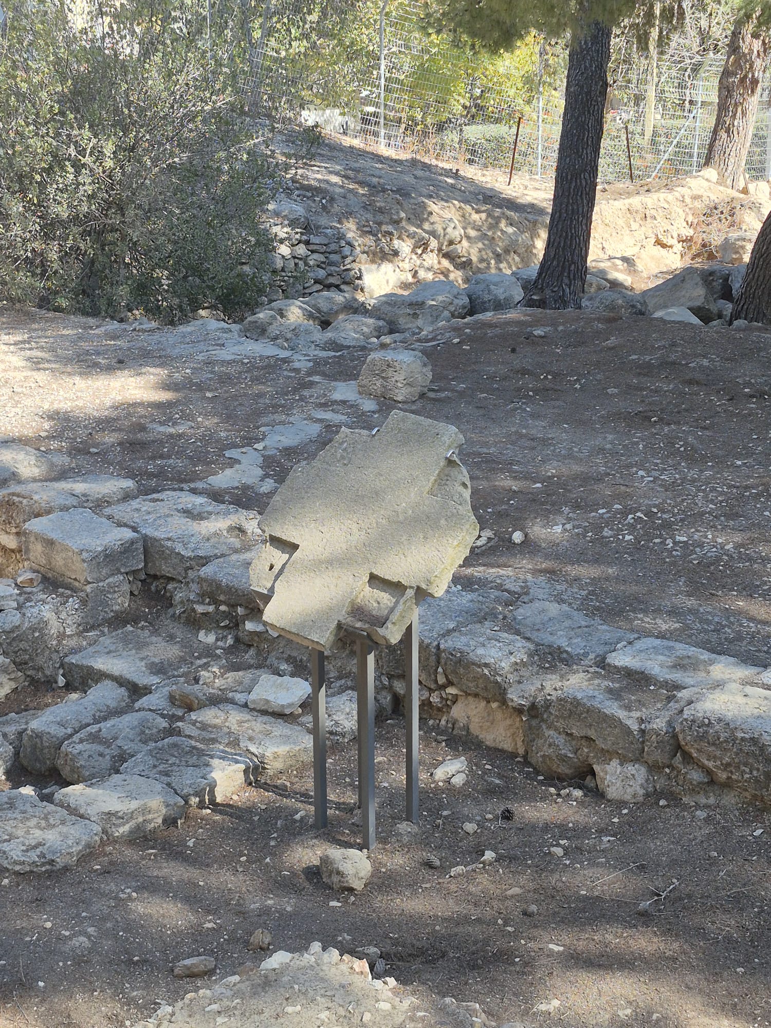 יום סיור לימודי בקיבוץ רמת רחל — תמונה 12