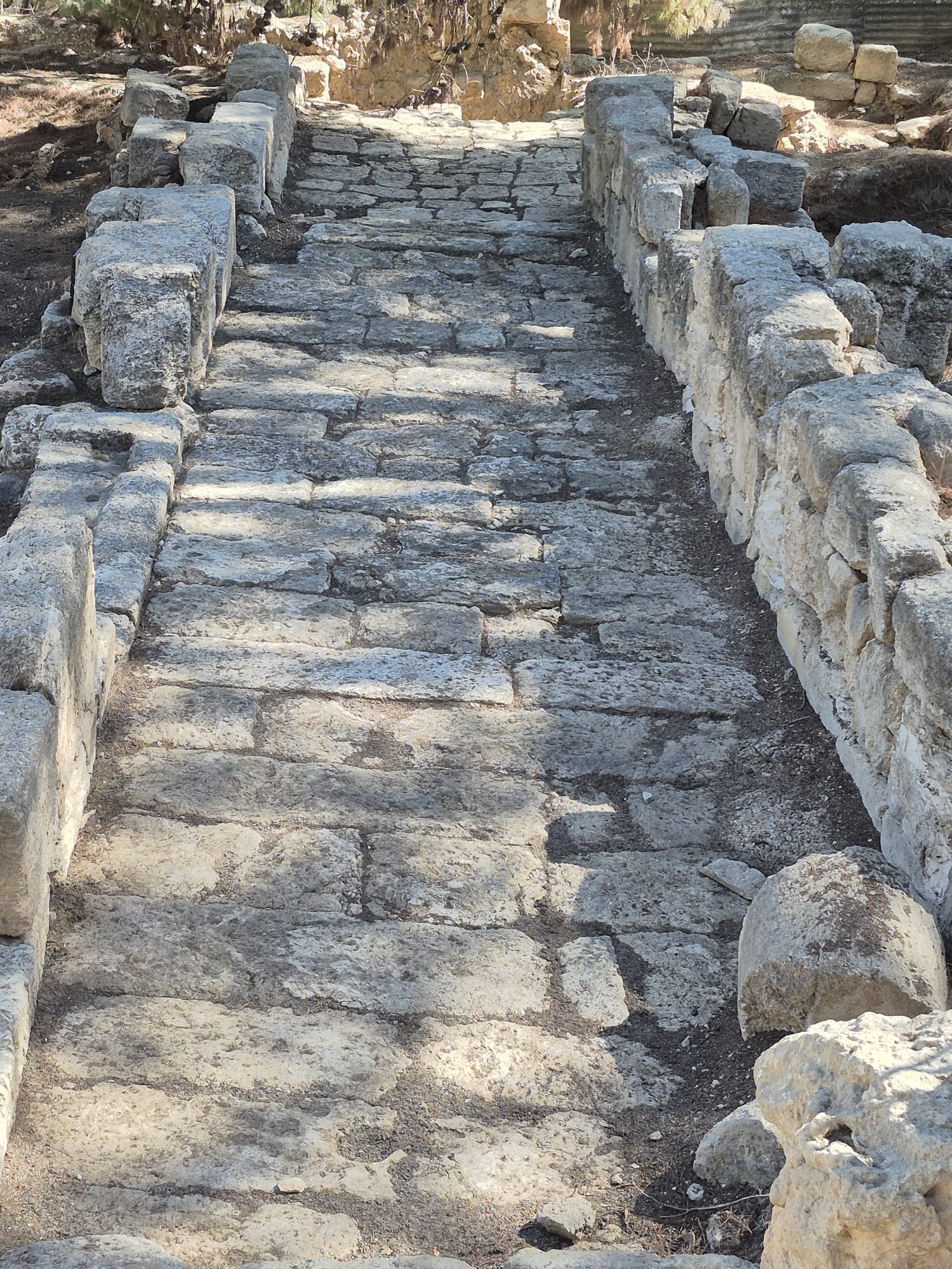 יום סיור לימודי בקיבוץ רמת רחל — תמונה 10