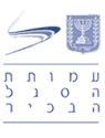 עמותת הסגל הבכיר