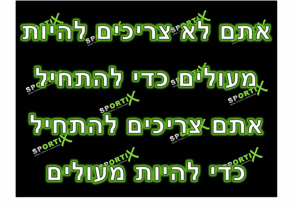 גלרייה 16