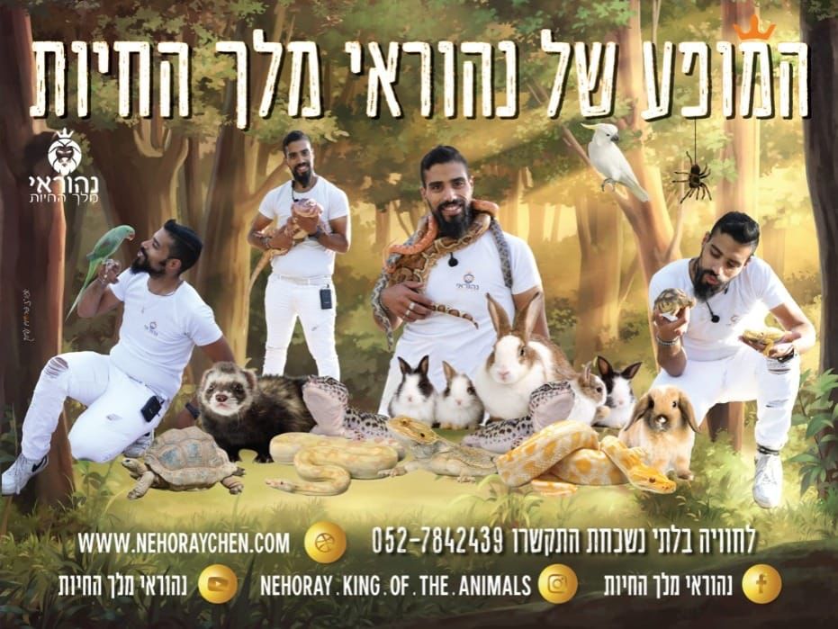 מופע חיות