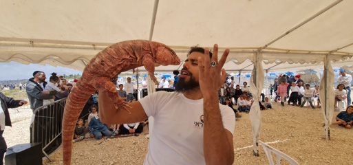 מופע חיות 15