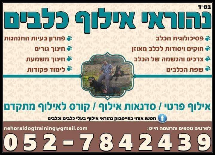 אילוף כלבים 2