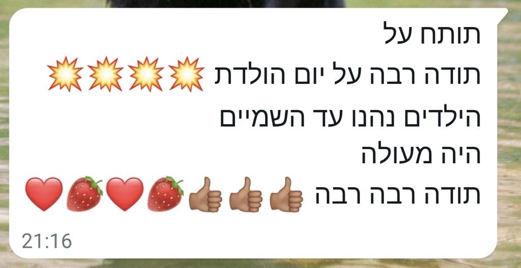 המלצות 18