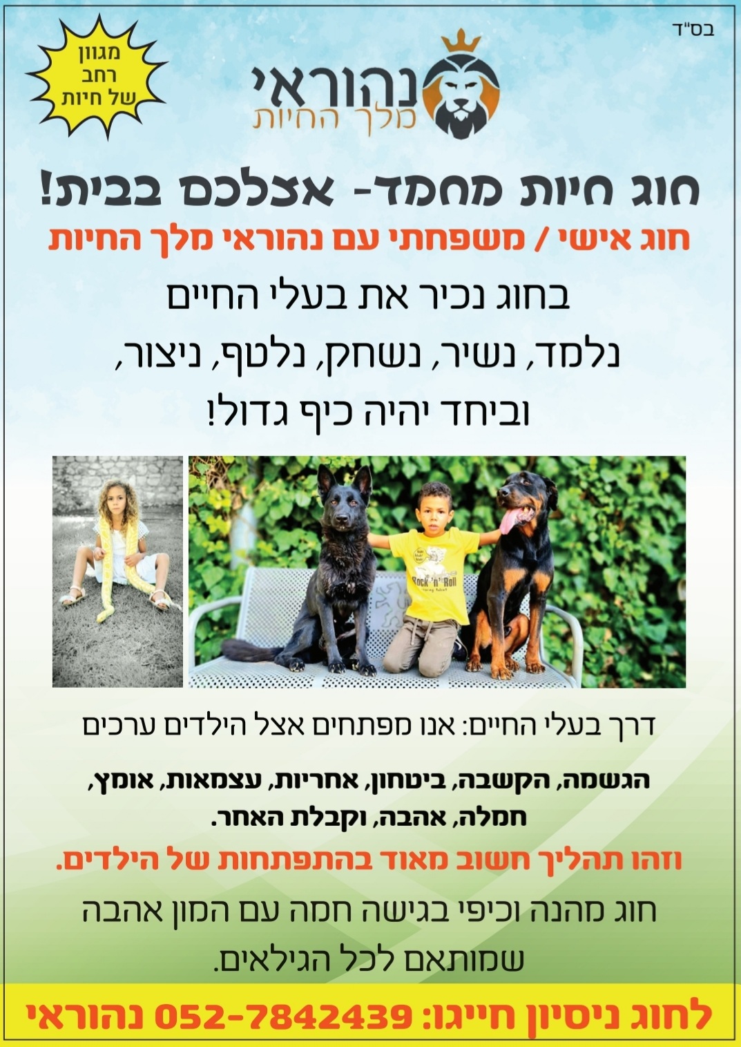 חוגים 3