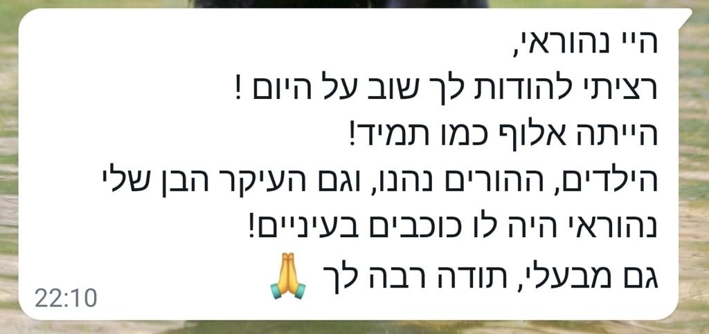 המלצות 28