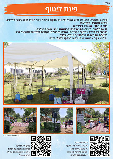 הפקות אירועים והפנינג 3