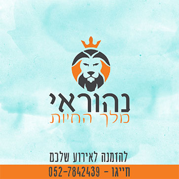 הפקות ב/ת מצווה 12