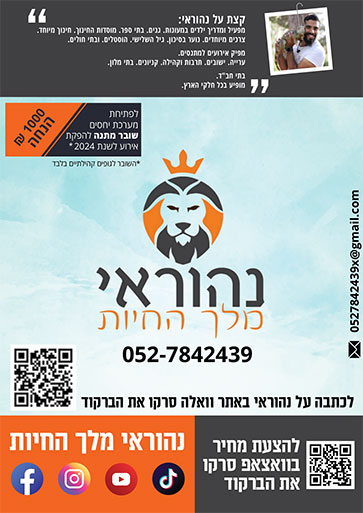 הפקות אירועים והפנינג 16