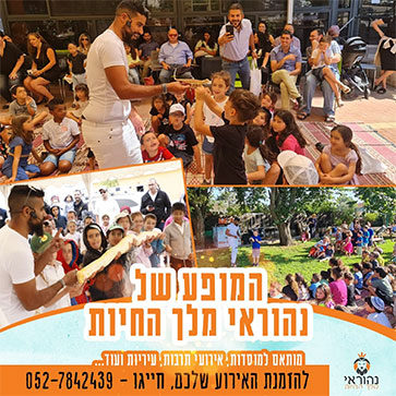 הפקות ב/ת מצווה 4