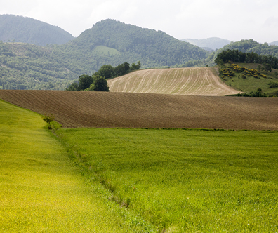 Gallery_Italy.jpg 7A34642A-C2F3-139C-EE68-25B738854867.jpg