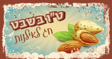 ט
