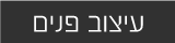 עיצוב פנים