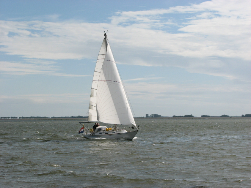 la Bamba of Beaulieu - photo 3