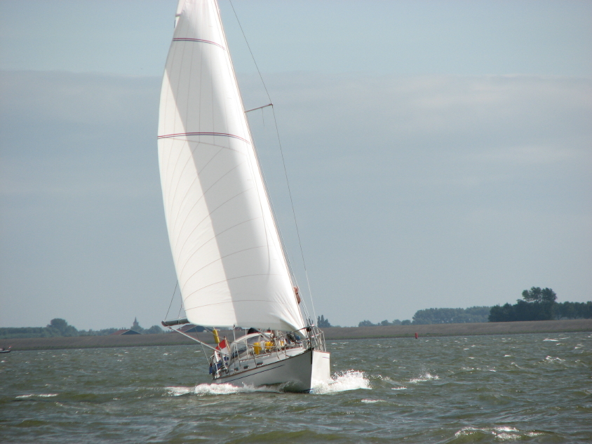 la Bamba of Beaulieu - photo 2