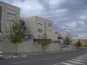 CIMG1349.JPG