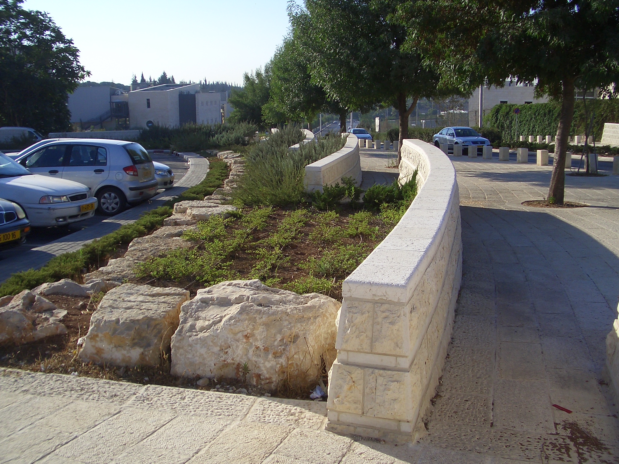 CIMG1215 (1).JPG
