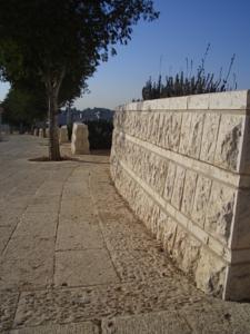 CIMG1220.JPG