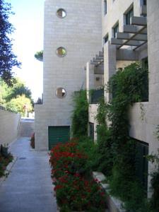 CIMG1250.JPG